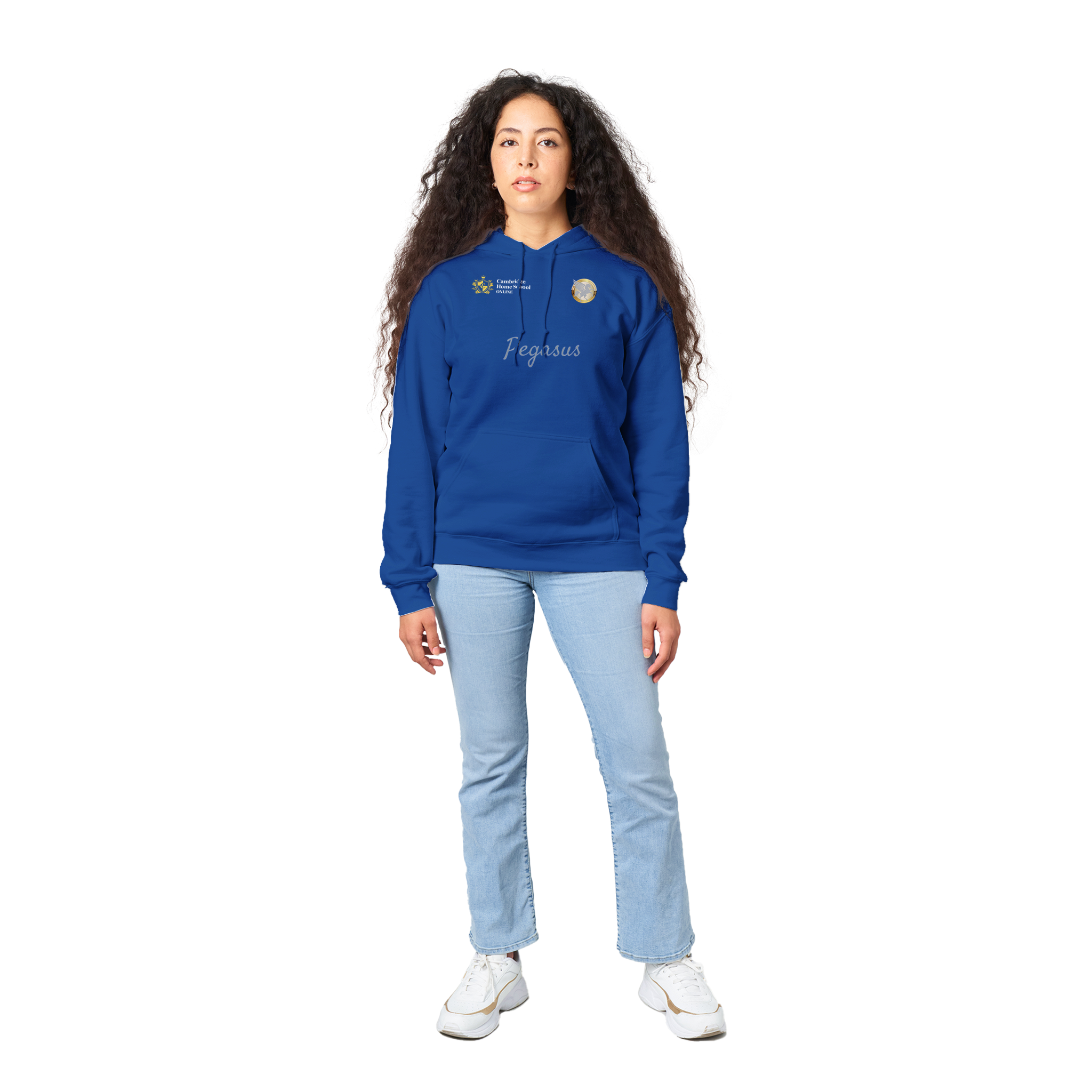 Pegasus Winged hoodie (Regular blue)