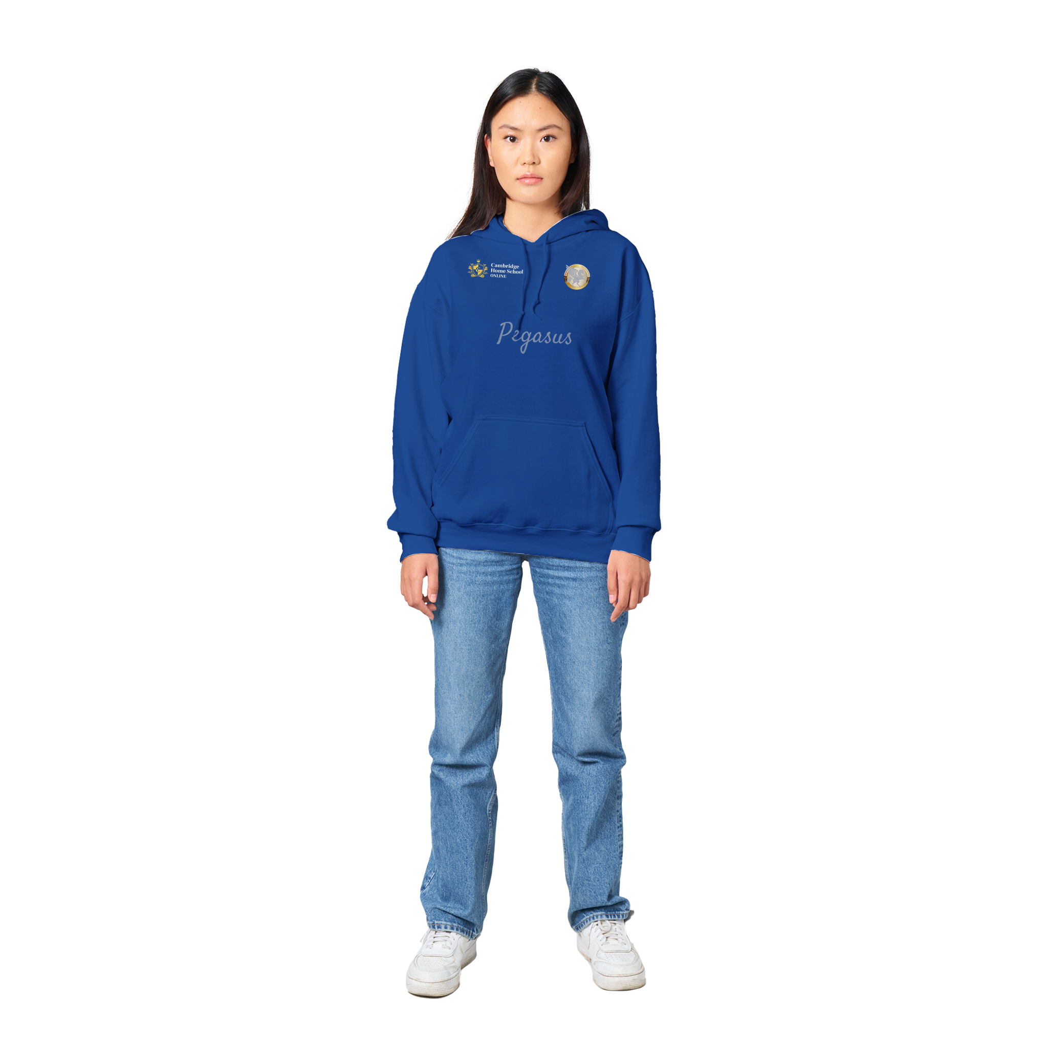 Pegasus Winged hoodie (Regular blue)