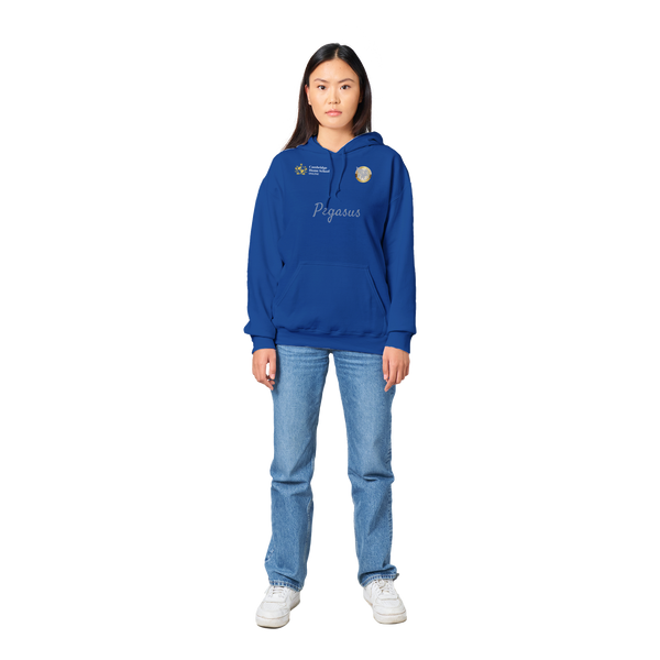 Pegasus Winged hoodie (Regular blue)