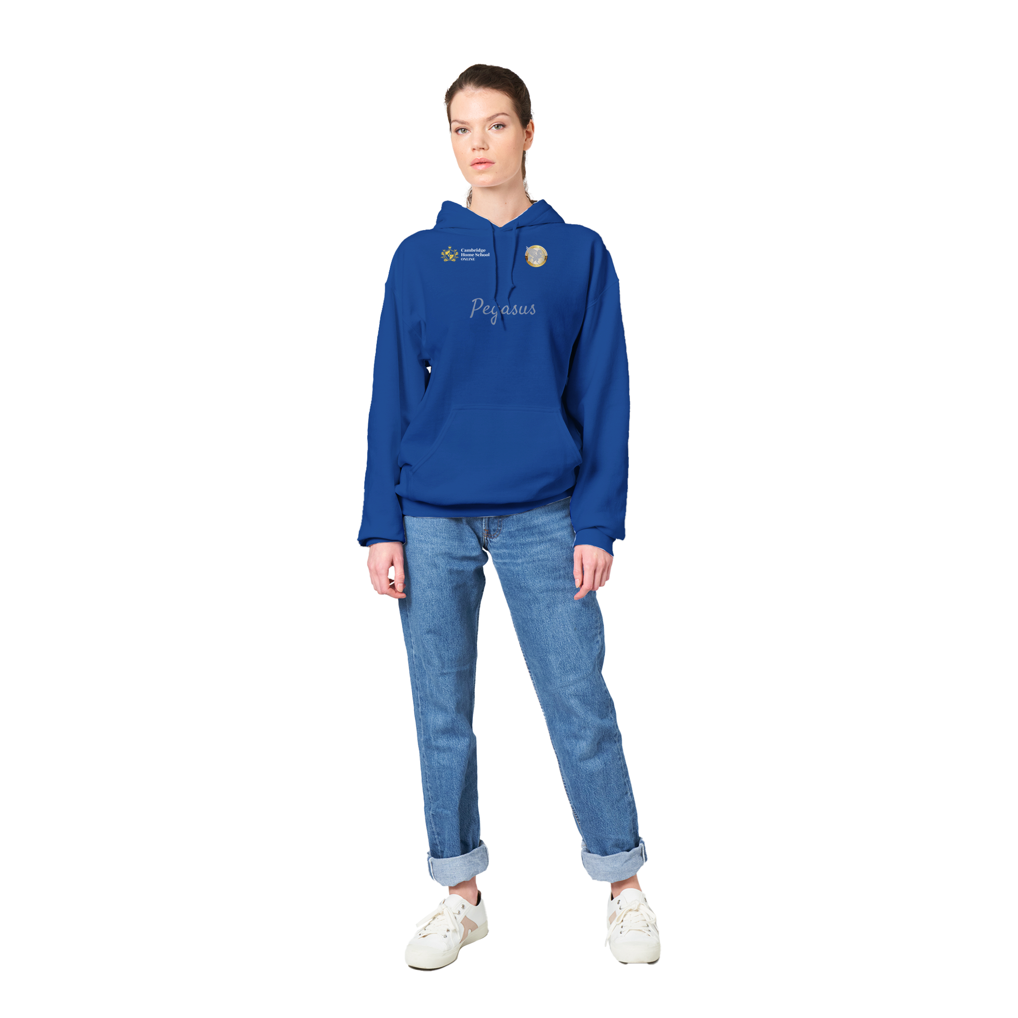 Pegasus Winged hoodie (Regular blue)