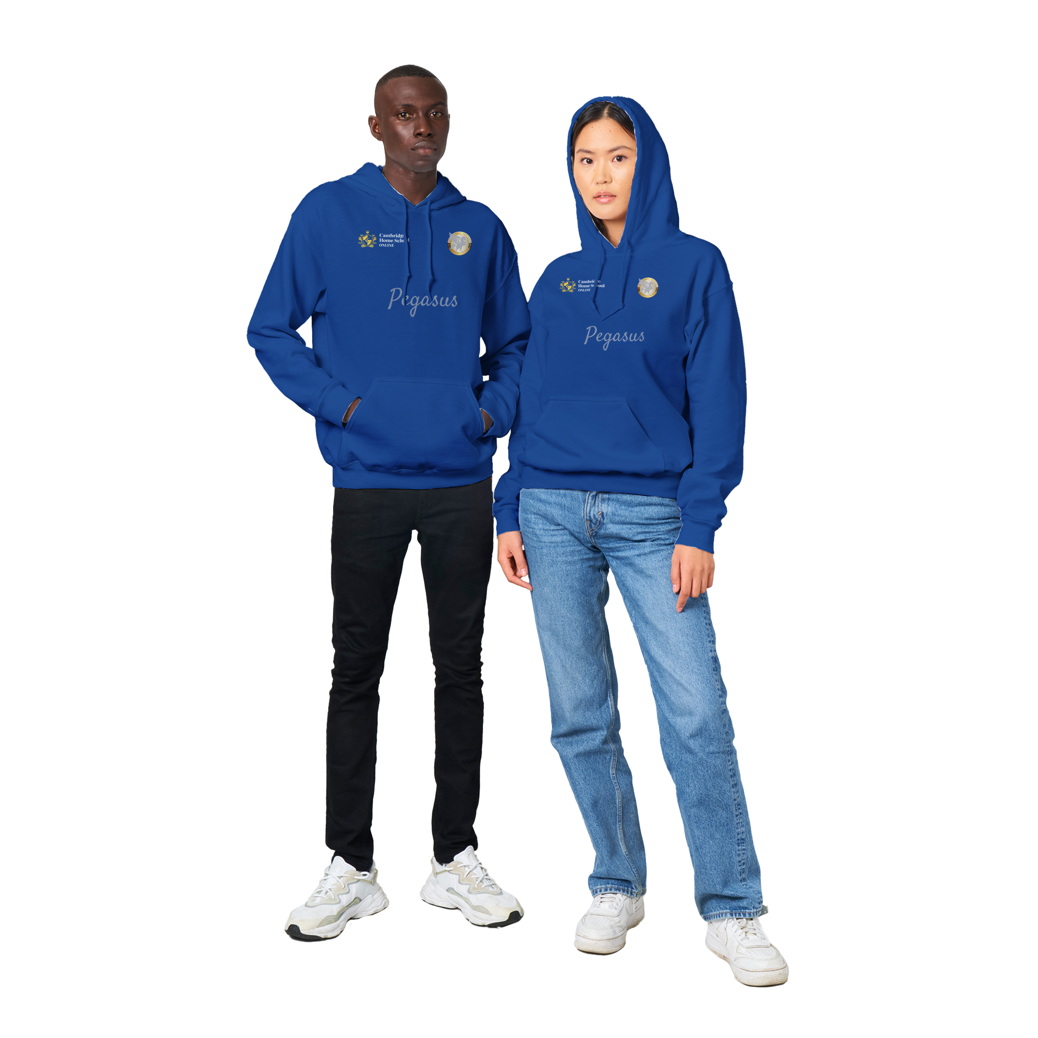 Pegasus Winged hoodie (Regular blue)