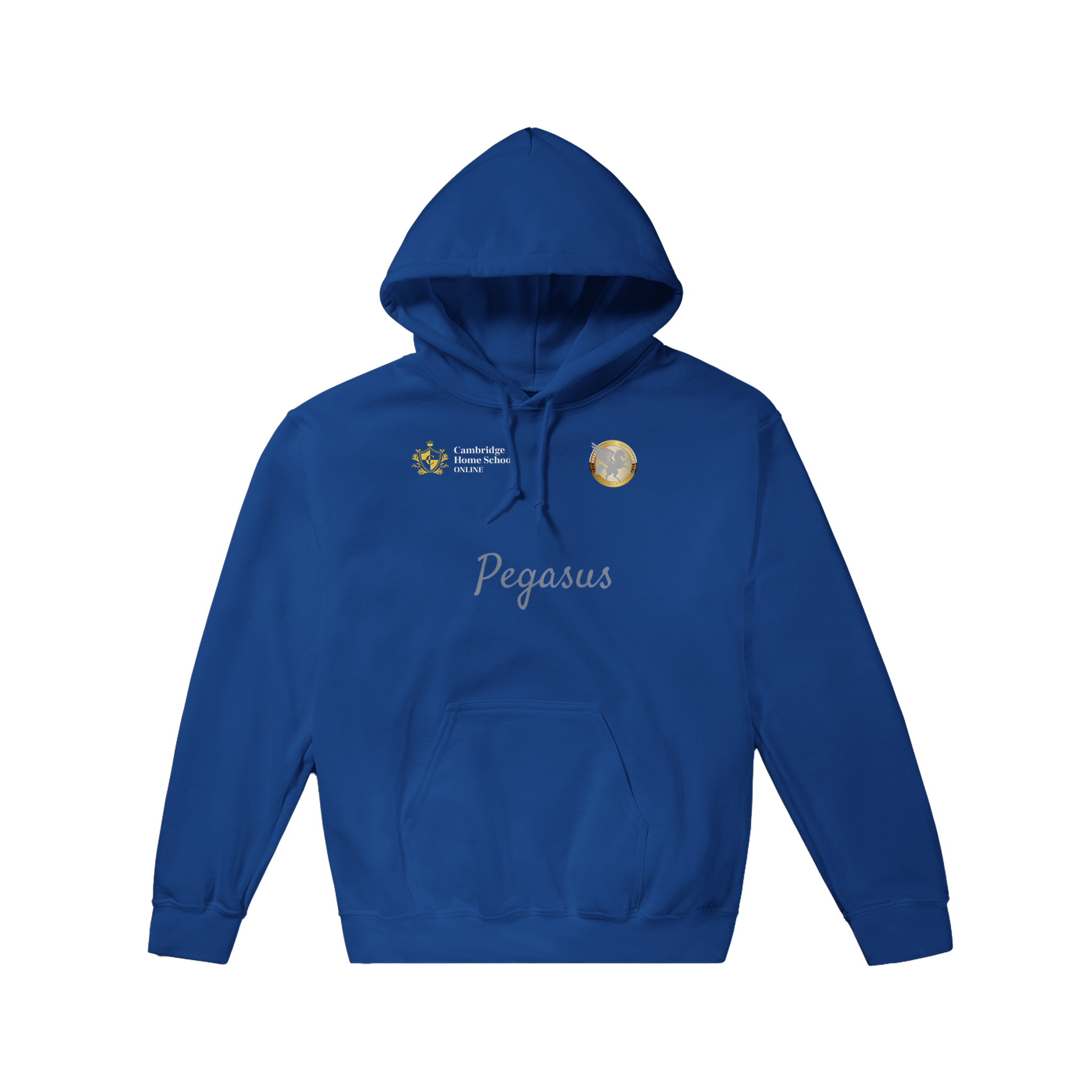 Pegasus Winged hoodie (Regular blue)