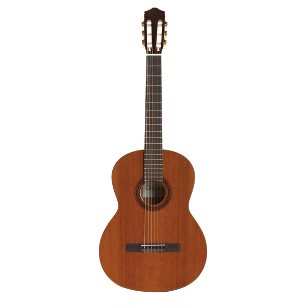 Music Lessons - Learn To Play An Instrument Online with a LIVE Teacher!