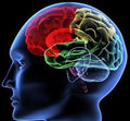 GCSE Psychology AQA 8182 Online Taught Course - LIVE CLASSES FROM HOME