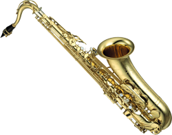 Music Lessons - Learn To Play An Instrument Online with a LIVE Teacher!