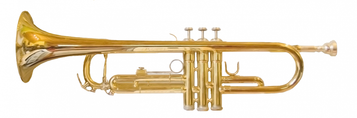 Music Lessons - Learn To Play An Instrument Online with a LIVE Teacher!